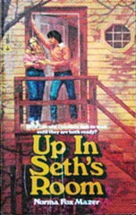 Up in Seth's Room - Norma Fox Mazer