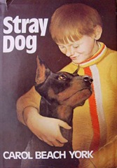 Stray Dog - Carol Beach York