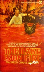 The Lake is on Fire - Maureen Crane Wartski