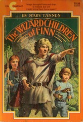 The Wizard Children of Finn - Mary Tannen